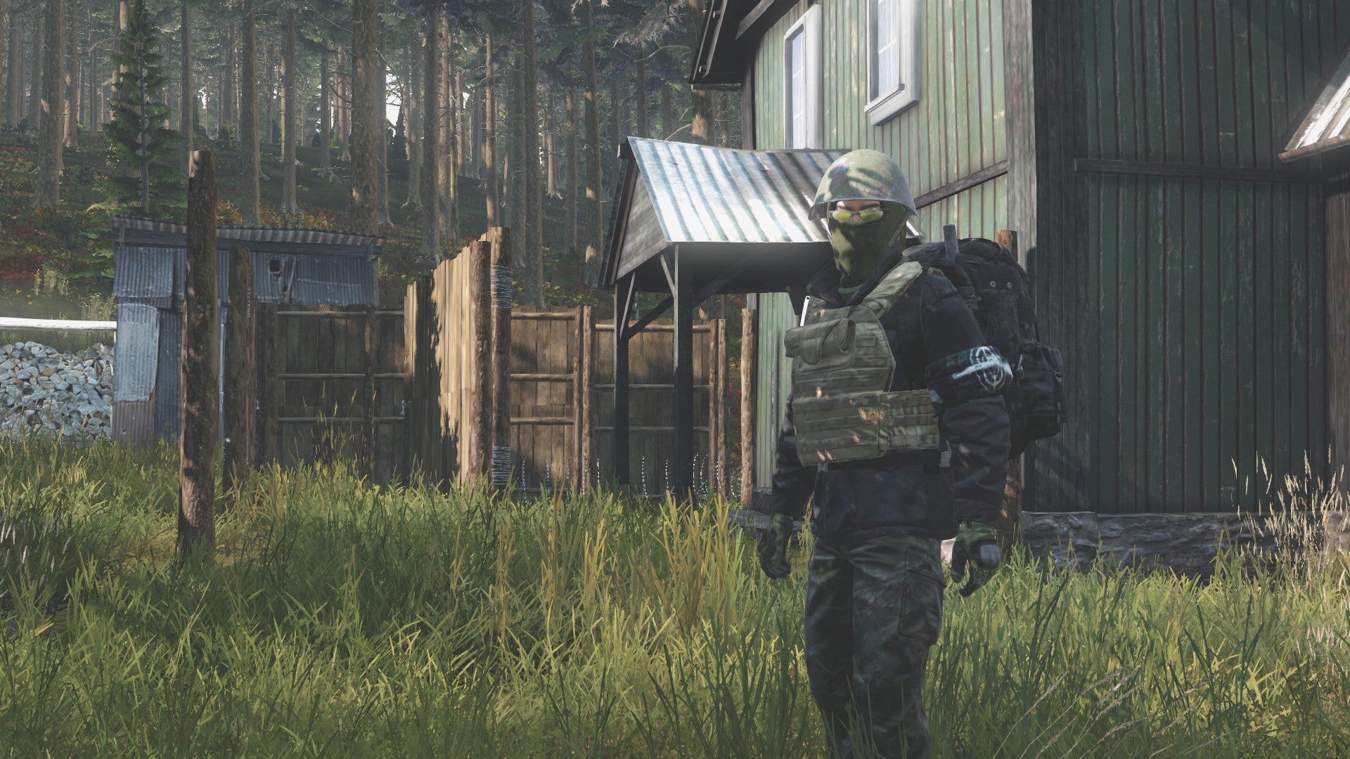 DayZ